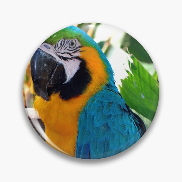 Item preview, Macaw Parrot Yellow And Blue Bird designed and sold by AndyEvansPhotos.