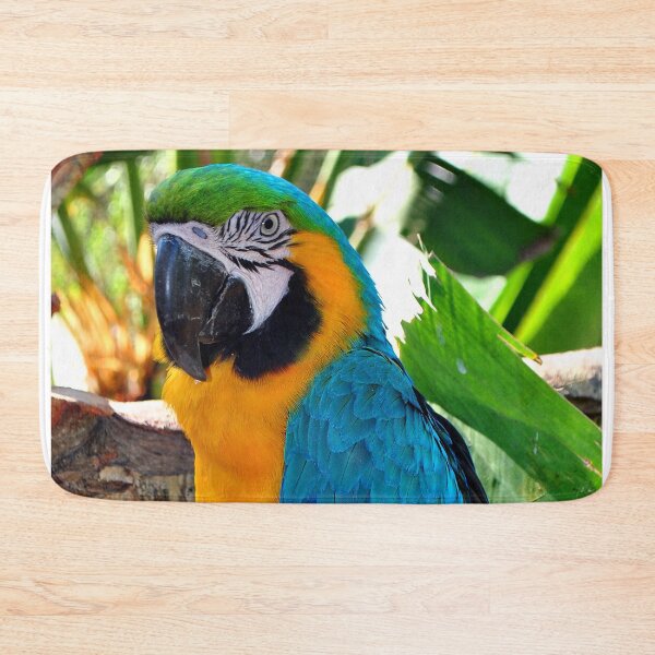 Item preview, Macaw Parrot Yellow And Blue Bird designed and sold by AndyEvansPhotos.