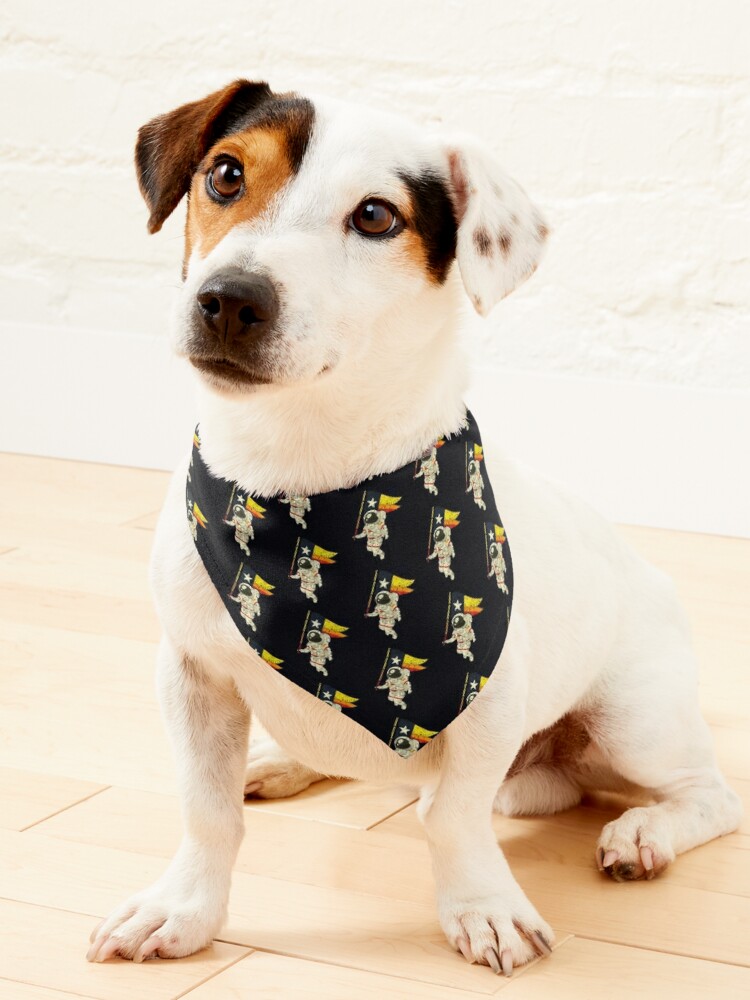 Space City Dog Bandana