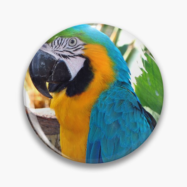 Item preview, Macaw Parrot Yellow And Blue Bird designed and sold by AndyEvansPhotos.