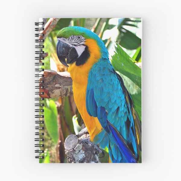 Item preview, Macaw Parrot Yellow And Blue Bird designed and sold by AndyEvansPhotos.