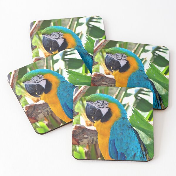 Item preview, Macaw Parrot Yellow And Blue Bird designed and sold by AndyEvansPhotos.