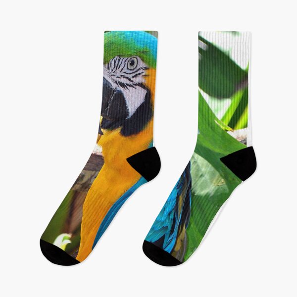 Item preview, Macaw Parrot Yellow And Blue Bird designed and sold by AndyEvansPhotos.