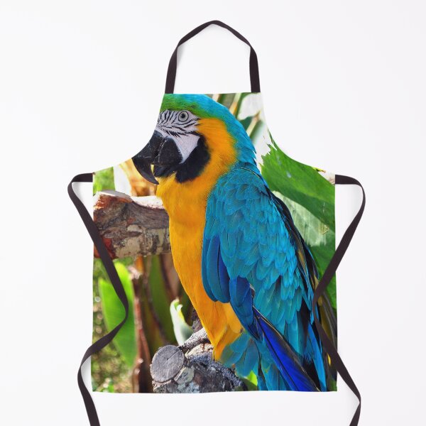 Item preview, Macaw Parrot Yellow And Blue Bird designed and sold by AndyEvansPhotos.