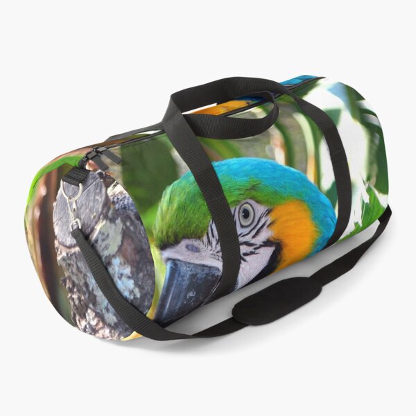 Item preview, Macaw Parrot Yellow And Blue Bird designed and sold by AndyEvansPhotos.