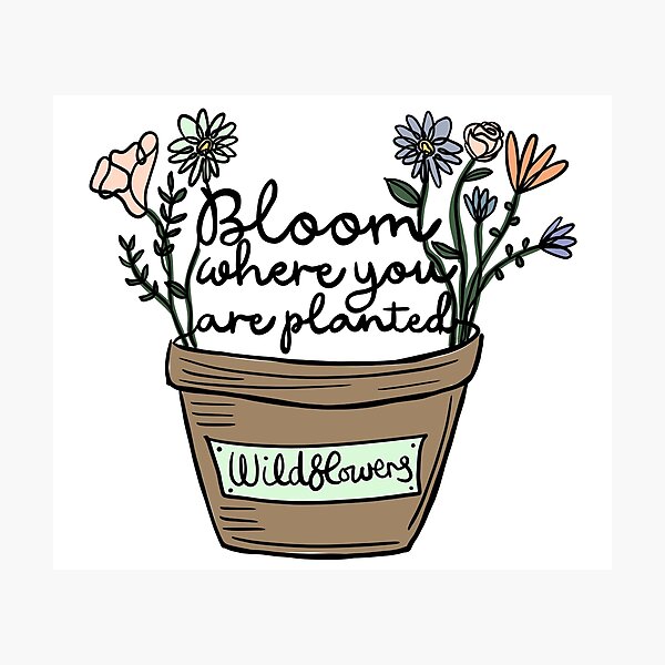 Item preview, Bloom where you are planted flowers designed and sold by SpiritedArtwork.
