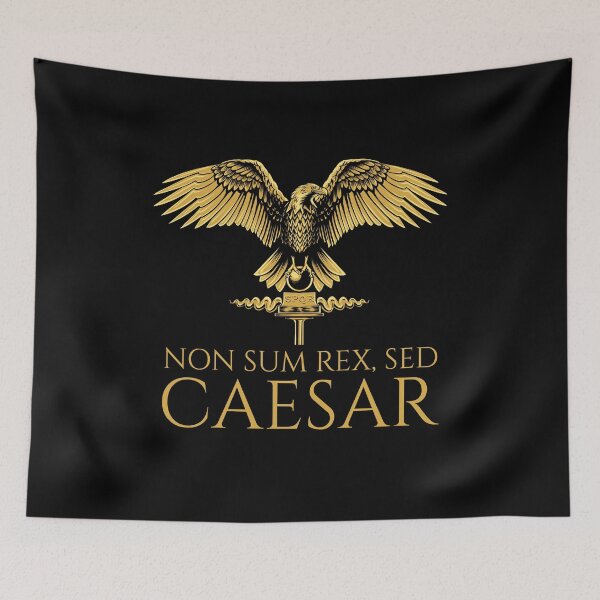 Item preview, Ancient Rome - Non Sum Rex, Sed Caesar - Latin Language designed and sold by Styrman.