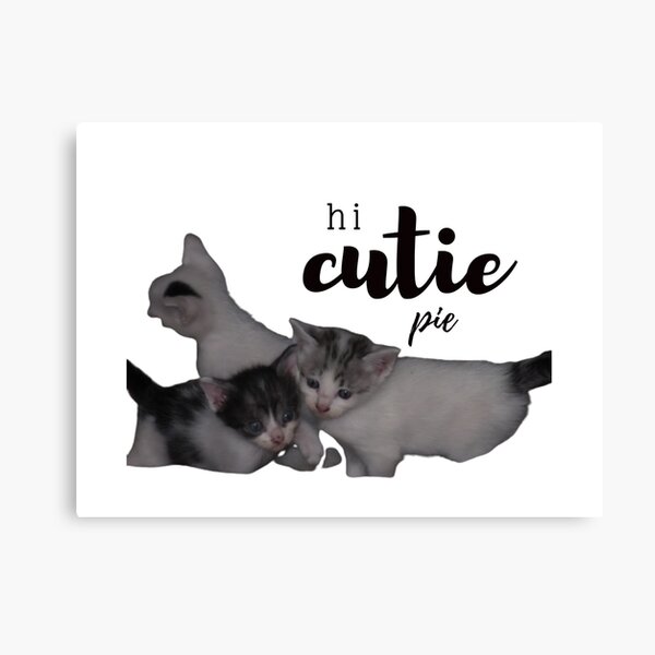 Cat Shitpost meme Art Board Print for Sale by Season's Store