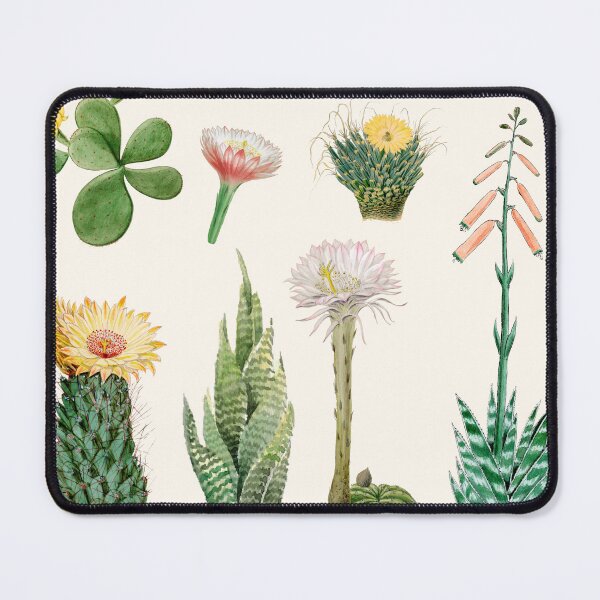 Item preview, Vintage Watercolor Flowering Cacti and Succulents designed and sold by BohemiWANDERS.