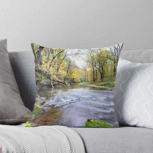 Item preview, Echos Of Otter Creek designed and sold by LynyrdSky.