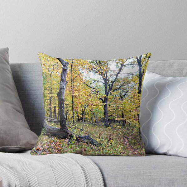Item preview, Echo Valley Woods designed and sold by LynyrdSky.