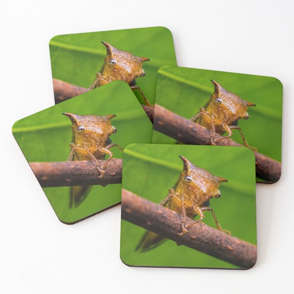 Item preview, Buffalo Treehopper - Ceresa designed and sold by AronsTinySafari.