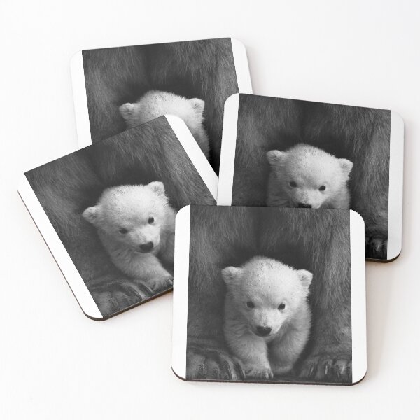 Item preview, Polar bear Cub between mom's legs - Photograph designed and sold by Mechanical-Artt.