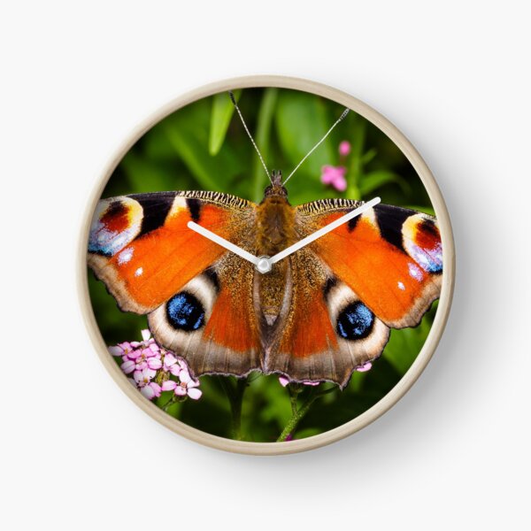 Item preview, The Colourful Peacock Butterfly. designed and sold by Postywood.