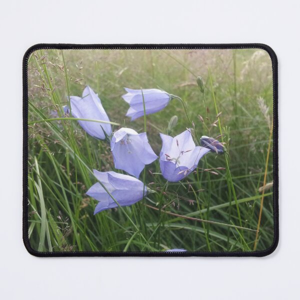 Item preview, Harebells designed and sold by froggencrafts.