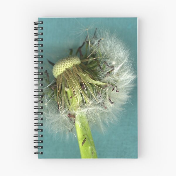 Item preview, dandelion designed and sold by Margaret Hockney.