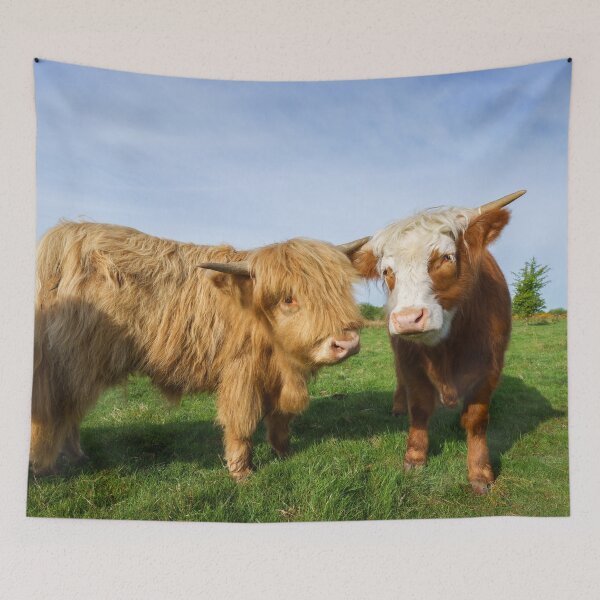 Item preview, Young Highland Cows designed and sold by rawshutterbug.