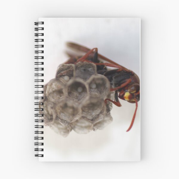 Item preview, Wasp Eggs  designed and sold by rom01.