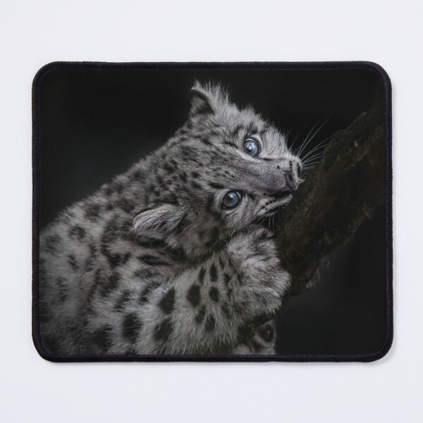 Item preview, Young Snow Leopard designed and sold by Yvonne Buiten.