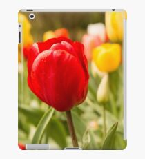 Springtime Tulips iPad Case/Skin