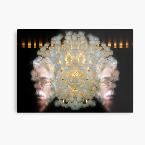 Dicothomy...ButNotSoMuch Metal Print