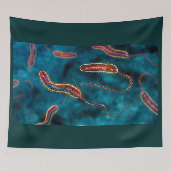 Item preview, Vibrio cholerae bacteria designed and sold by Kateryna Kon.