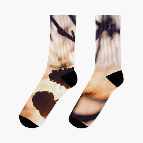 Item preview, Winter sunset through the pine trees designed and sold by chiaravisuals.