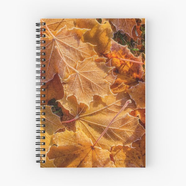 Item preview, Frosted designed and sold by Veikko  Suikkanen.