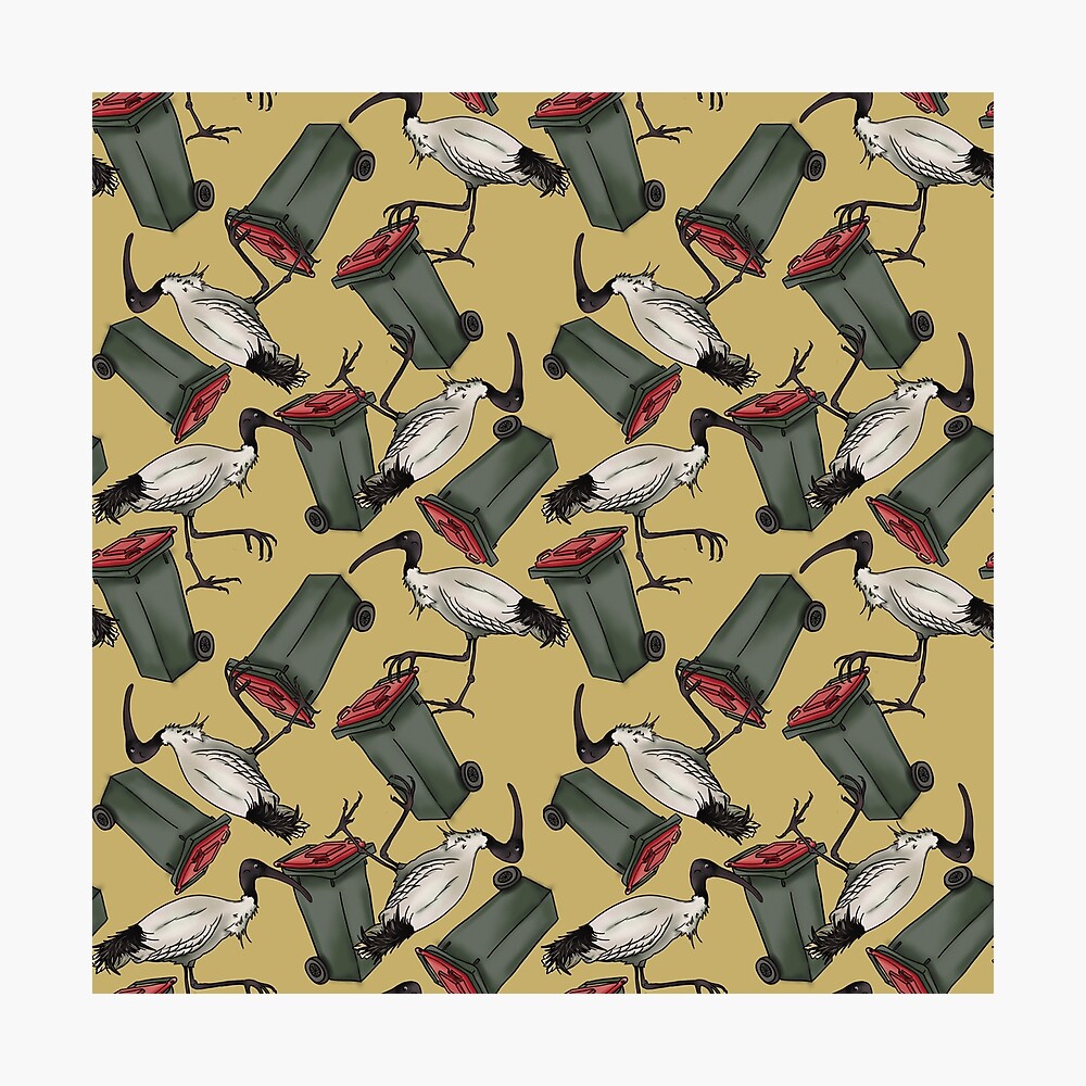 Bin Chicken - Mustard Photographic Print