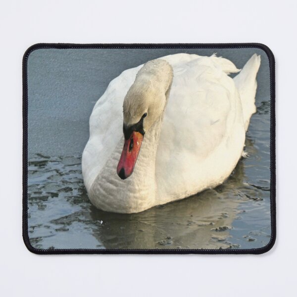 Item preview, Swan in the freezing pond designed and sold by AdioraStore.