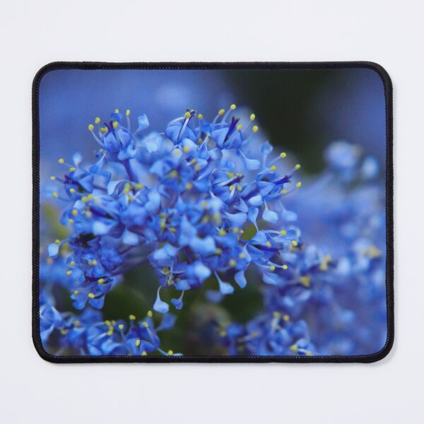 Item preview, Macro Blue Blossom Photography designed and sold by OnHeathAndMoor.