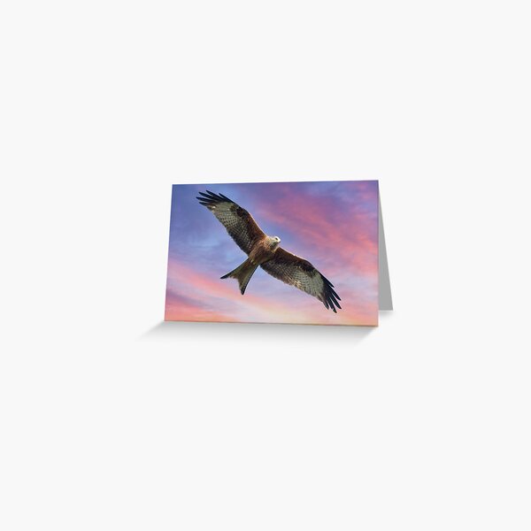 Item preview, Soaring Red Kite Bird of Prey designed and sold by Martyn R Arnold Fine Art Nature & Landscape Photography.