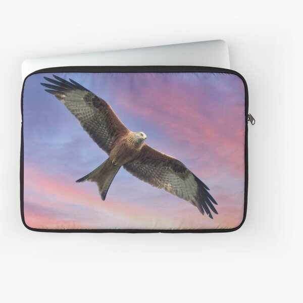 Item preview, Soaring Red Kite Bird of Prey designed and sold by Martyn R Arnold Fine Art Nature & Landscape Photography.