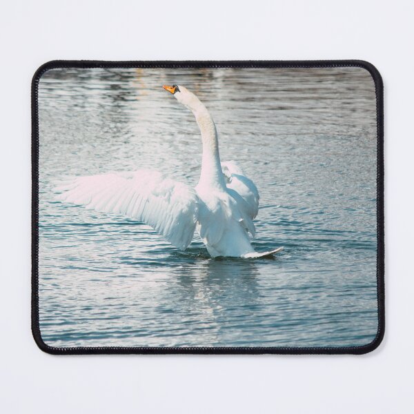 Item preview, Swan Flapping Wings On Water designed and sold by Shonti.