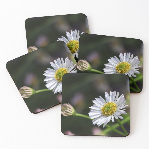 Item preview, Ox Eye Daisy Spring Photography designed and sold by OnHeathAndMoor.