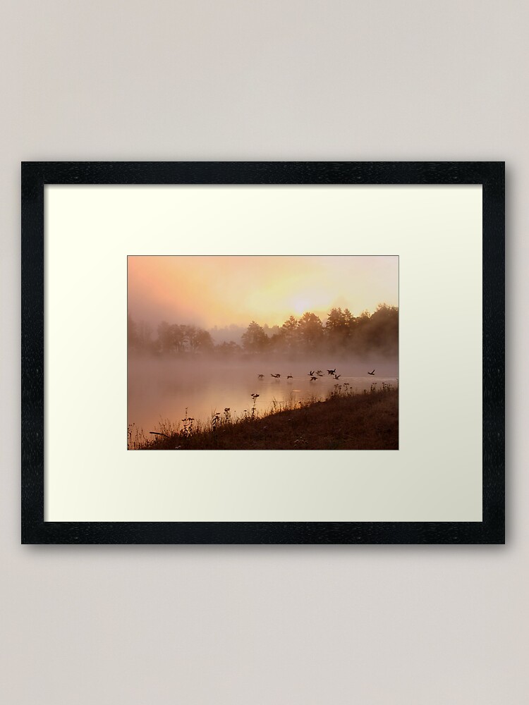 Alternate view of Creature of God Framed Art Print