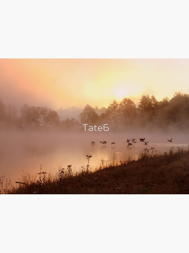 Creature of God by Tate6