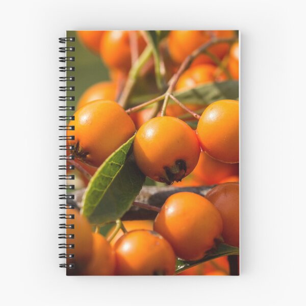 Item preview, Mountain ash designed and sold by Martulia.
