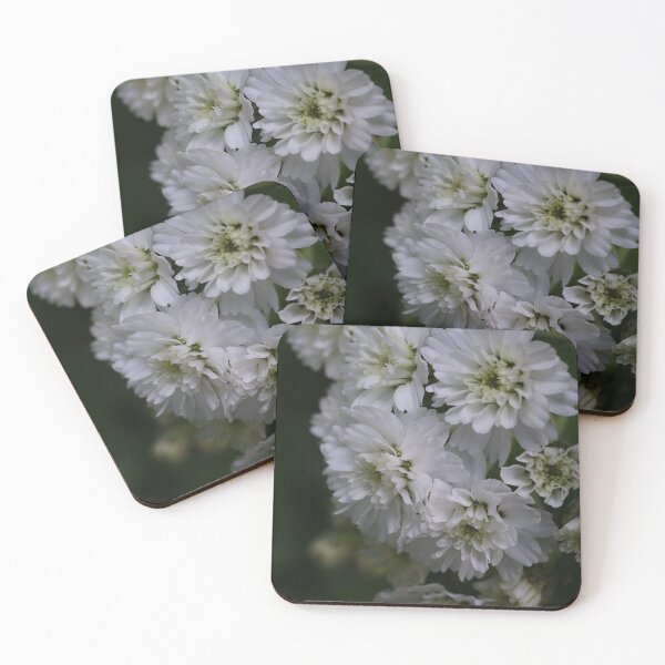 Item preview, White Flower Macro Botanical Photography designed and sold by OnHeathAndMoor.