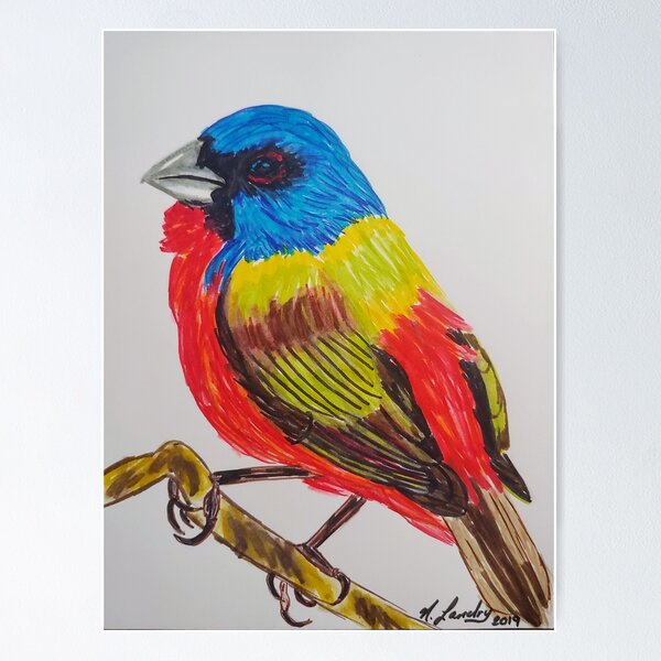 Passerin non pareil Poster