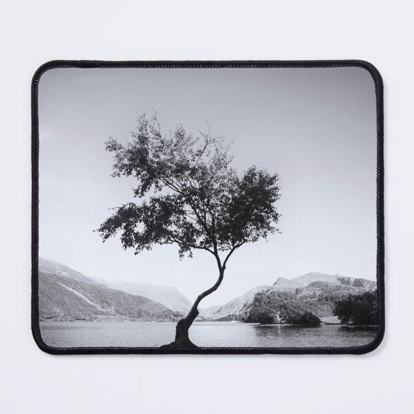 Item preview, Tree at Llyn Padarn III designed and sold by David Lichtneker.