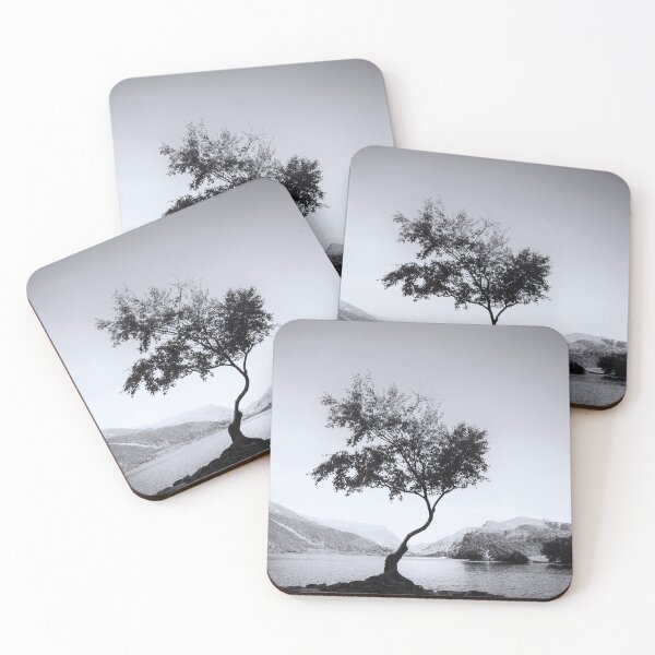 Item preview, Tree at Llyn Padarn III designed and sold by David Lichtneker.