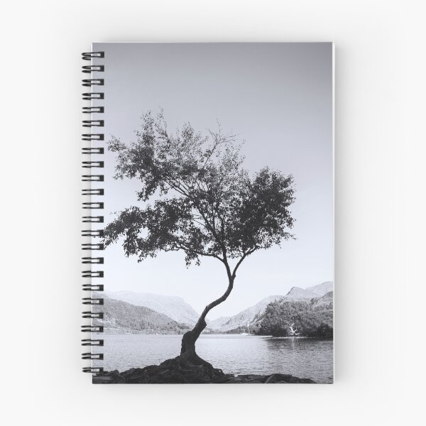 Item preview, Tree at Llyn Padarn III designed and sold by David Lichtneker.
