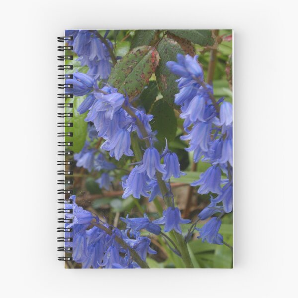 Item preview, Bluebells designed and sold by Gilberte.