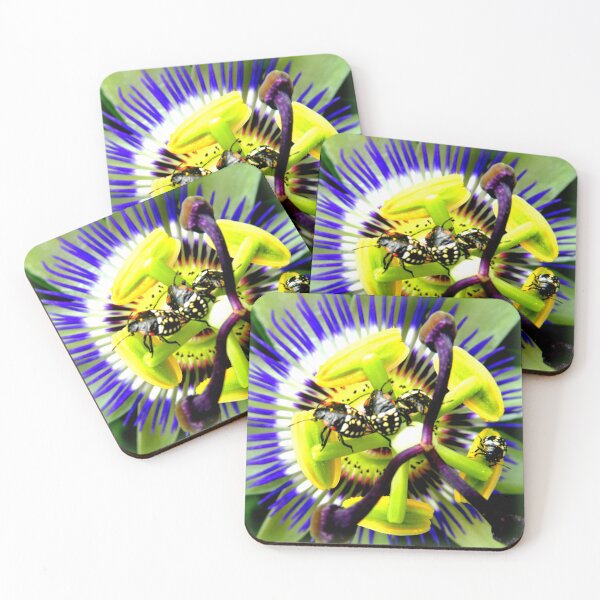 Item preview, Bugs on passionflower designed and sold by angel1.