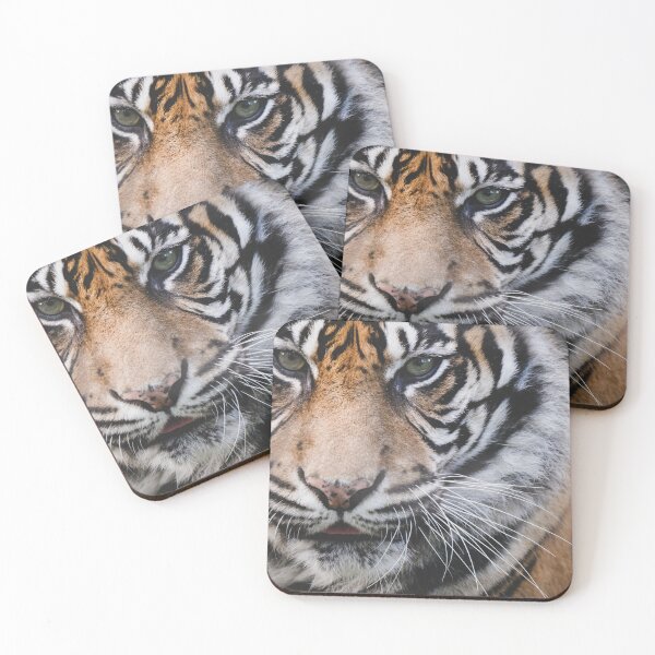 Item preview, Tiger designed and sold by photobytableau.