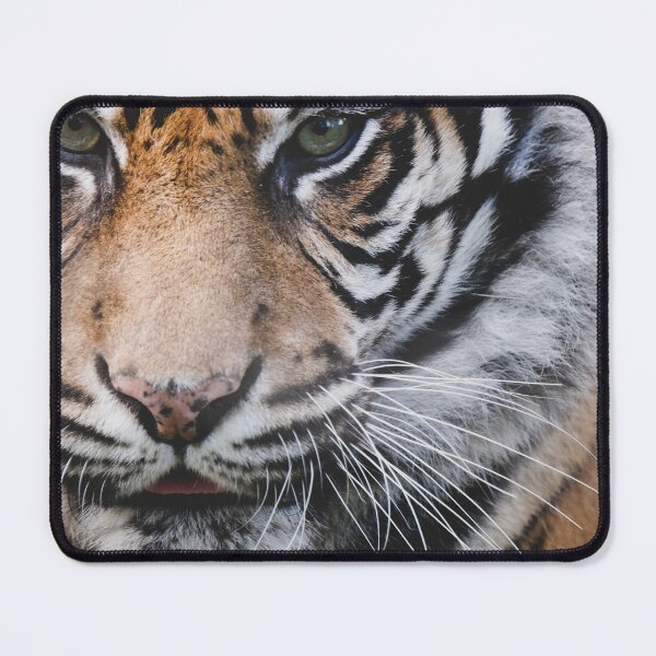 Item preview, Tiger designed and sold by photobytableau.