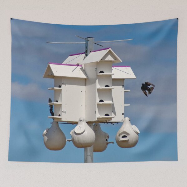 Item preview, Bird House & Tenants  designed and sold by AnnDixon.