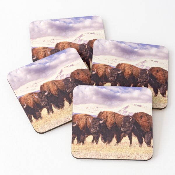 Item preview, Three Bison are Grazing in a Field in Colorado, Surrounded by Mountains Covered in Snow designed and sold by Rocky Mountain Artistry.