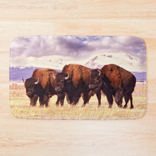 Item preview, Three Bison are Grazing in a Field in Colorado, Surrounded by Mountains Covered in Snow designed and sold by Rocky Mountain Artistry.